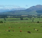 TAC's advice sought on UK-NZ trade deal