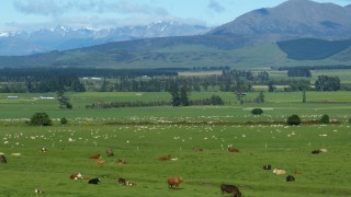 TAC’s advice sought on UK-NZ trade deal