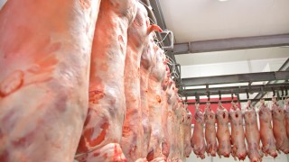 November pigmeat production up on last year despite sector crisis