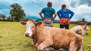 Better breeding with Bulls Out for Cancer campaign