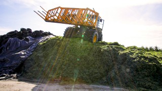 Environmental considerations for silage storage