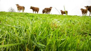 Competition for farms and estates heats up in busy land market