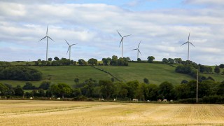 Natural England launches species reintroductions task force