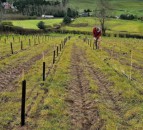 Deadline approaches for NI’s £2 million Environmental Fund