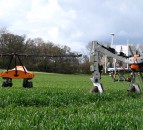 ‘Per plant farming’ with Tom, Dick and Harry
