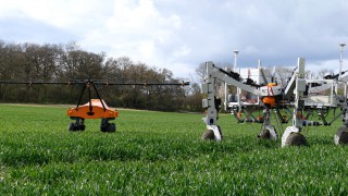 ‘Per plant farming’ with Tom, Dick and Harry