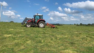 Wilting silage – is it worthwhile?