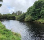£11 million boost to help preserve Welsh wildlife
