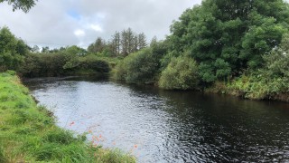 Water pollution trend in NI is ‘concerning’ – Sugden