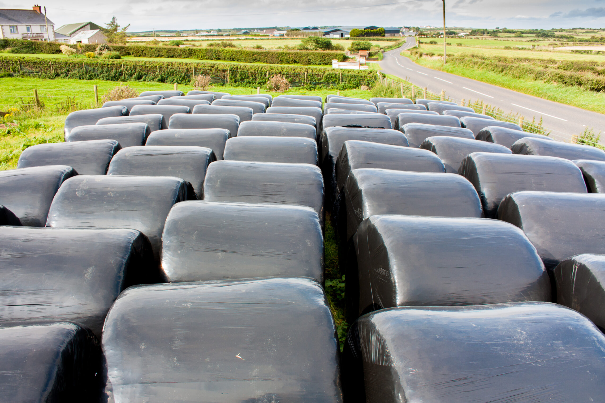 Farmers urged to beware of bale contamination