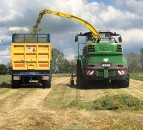 Introducing a multi-cut silage system – CAFRE
