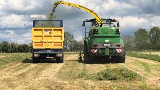 Introducing a multi-cut silage system – CAFRE