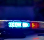 2 people arrested after dispute at Carlisle Limousin sale