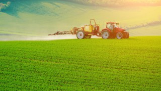 Reduce P and K application rates at your peril – PDA