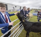 13 teenagers take calves home to rear in ABP’s agri-skills contest