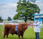 Royal Highland Showcase receives over 270,000 views across 7 days