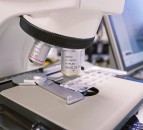 APHA seeks lead animal scientist