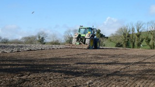 New video series to highlight use of EIP multi-species swards