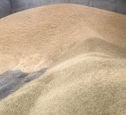 Growers urged to consider alternatives amid claims of propionic acid shortage