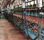 GDT drops slightly for fourth consecutive auction