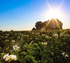 NFU welcomes government clarity on nature recovery schemes