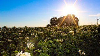 NFU welcomes government clarity on nature recovery schemes
