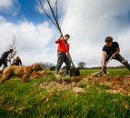 New Community Forest set to be a major step towards carbon net zero goals