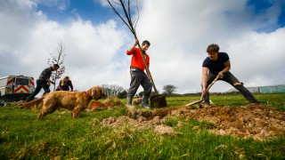 New Community Forest set to be a major step towards carbon net zero goals