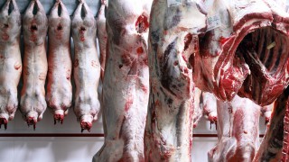 NSA raises concerns over availability and capacity of UK abattoirs