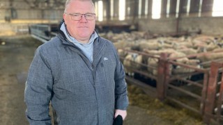 Brexit creating major problems for agriculture in NI – MLA