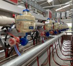 NI milk price round-up: Lakeland swaps unconditional bonus for base price rise
