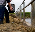 No ‘special arrangements’ for agriculture in either of NI’s Climate Change Bills