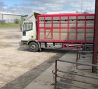 Figures show a further tightening of NI lambs coming south for direct slaughter