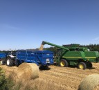Extreme weather conditions sees farmers facing a challenging summer