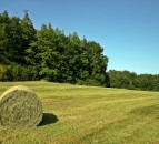 Hay fires: Farmers urged to 'keep an eye' on freshly baled hay