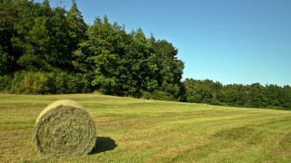 Police appeal for info after 150 hay bales set alight in Staffordshire