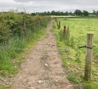 Consultation opens for NI’s first-ever Rural Policy Framework