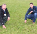 Sales of clover seed rocket as farmers aim to reduce fertiliser bills