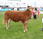 Entries open for 2021 Balmoral Show