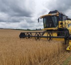 Simpsons Malt teams up with Yara to cut carbon footprint