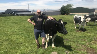 Dairy Focus: Prevention better than cure in Co. Antrim