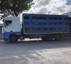 Exports of sheep for direct slaughter from NI to the ROI continues to fall