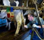 New collaboration to establish low carbon milk