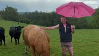 Beef and dairy farmers raising money for charity as part of Bulls Out for Cancer