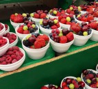 The ‘increasing need’ for plant-based food – DLL