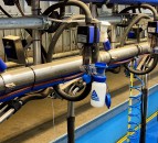 NI dairy industry would have to ‘revert to 1946 levels’ to meet net-zero