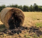 Appeal for information after bales set alight in field