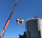 Pics: Trapped cow hoisted free from Kiwi rotary parlour