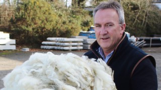 Irish wool sector deserves a Covid-19 support package