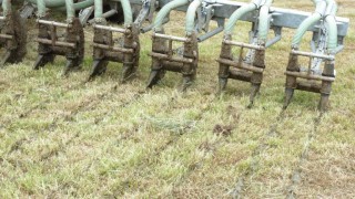 Methane-eliminating ag-tech company receives £7 million in funding